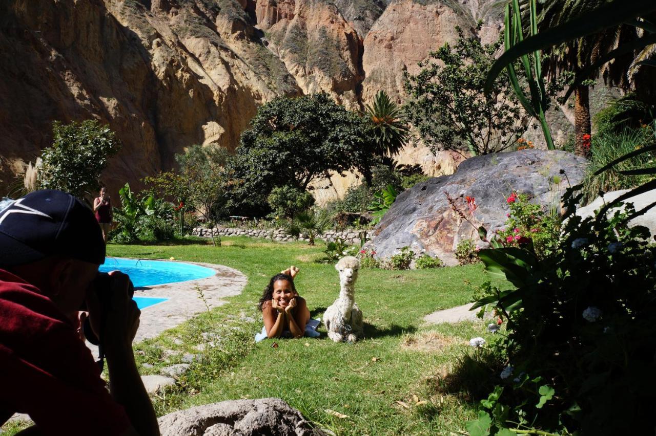 Paraiso Las Palmeras Lodge Cabanaconde Bagian luar foto