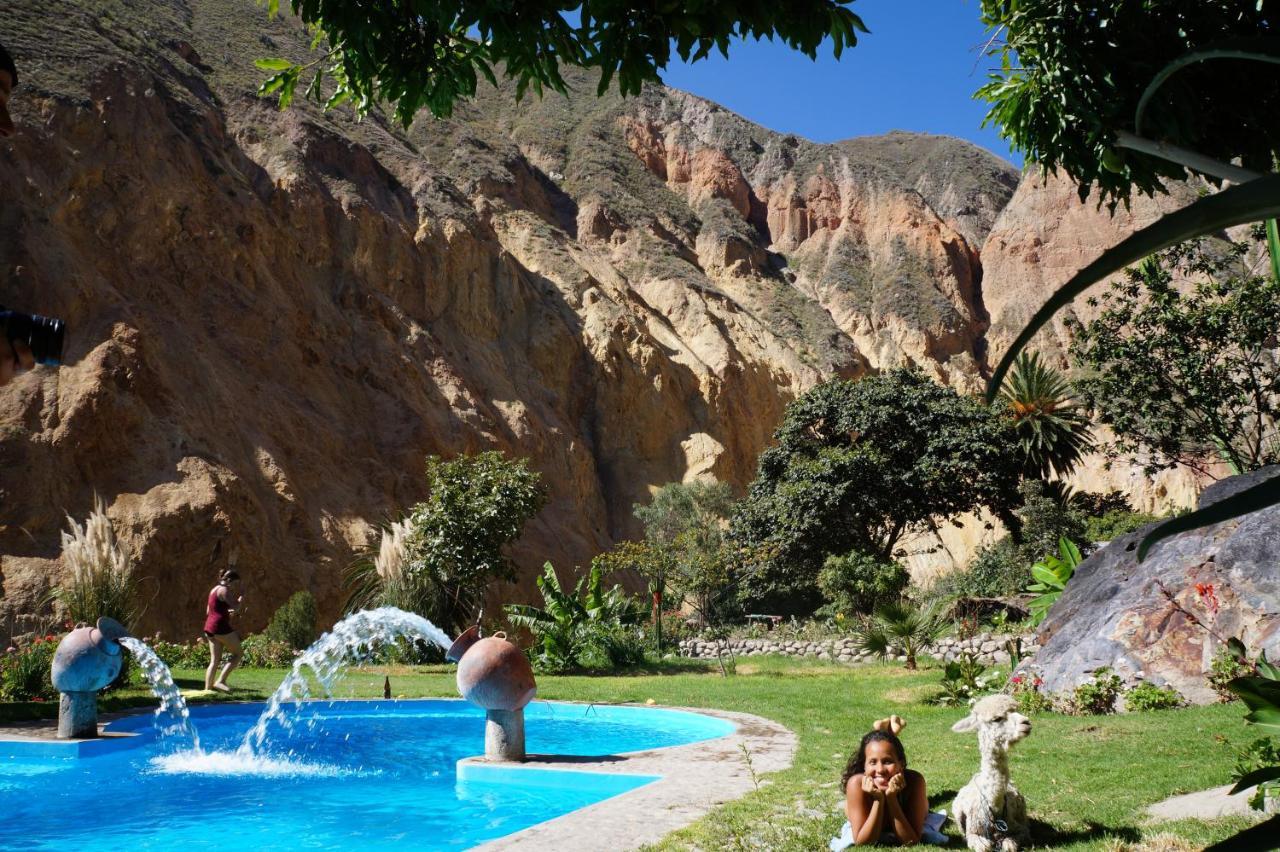 Paraiso Las Palmeras Lodge Cabanaconde Bagian luar foto