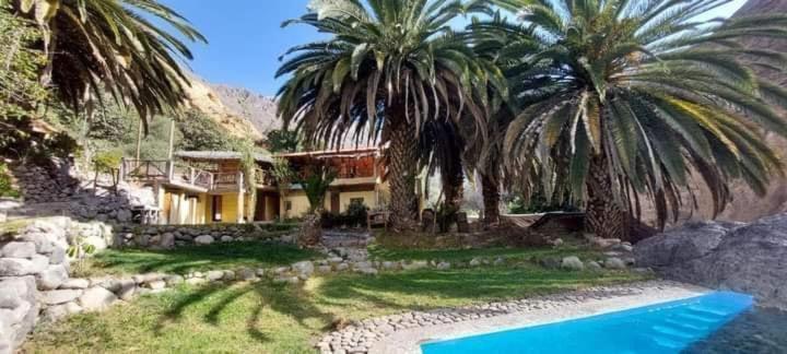 Paraiso Las Palmeras Lodge Cabanaconde Bagian luar foto