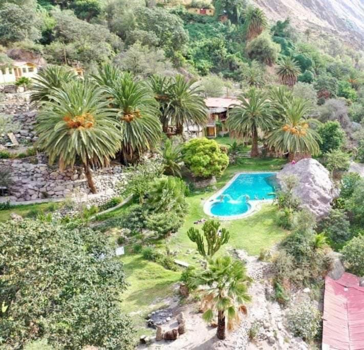 Paraiso Las Palmeras Lodge Cabanaconde Bagian luar foto