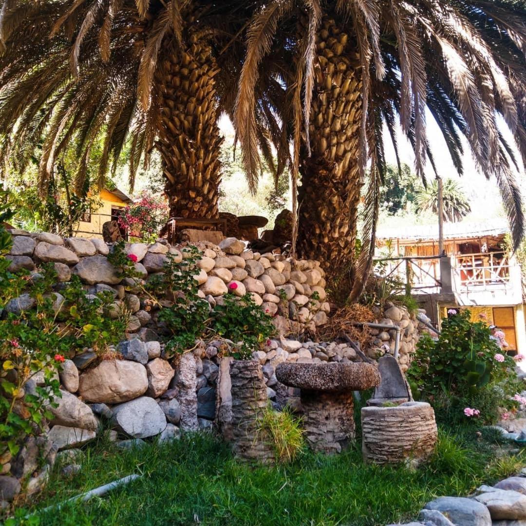 Paraiso Las Palmeras Lodge Cabanaconde Bagian luar foto